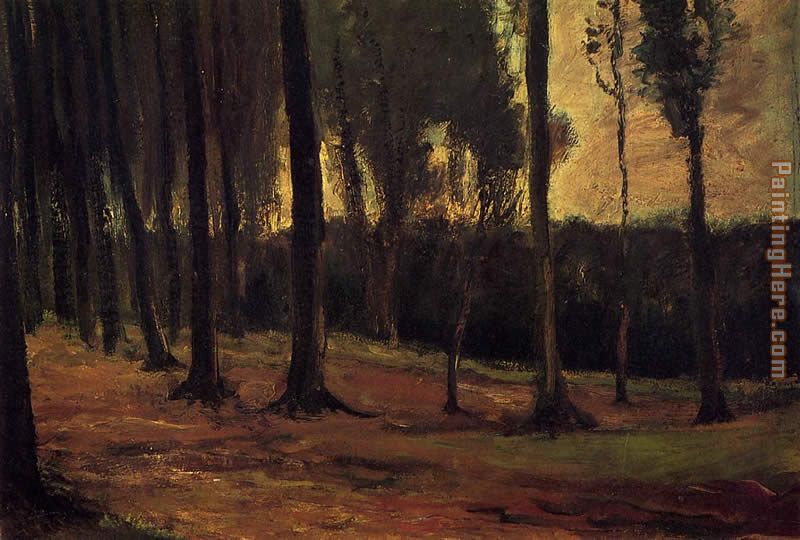 Edge of a Wood